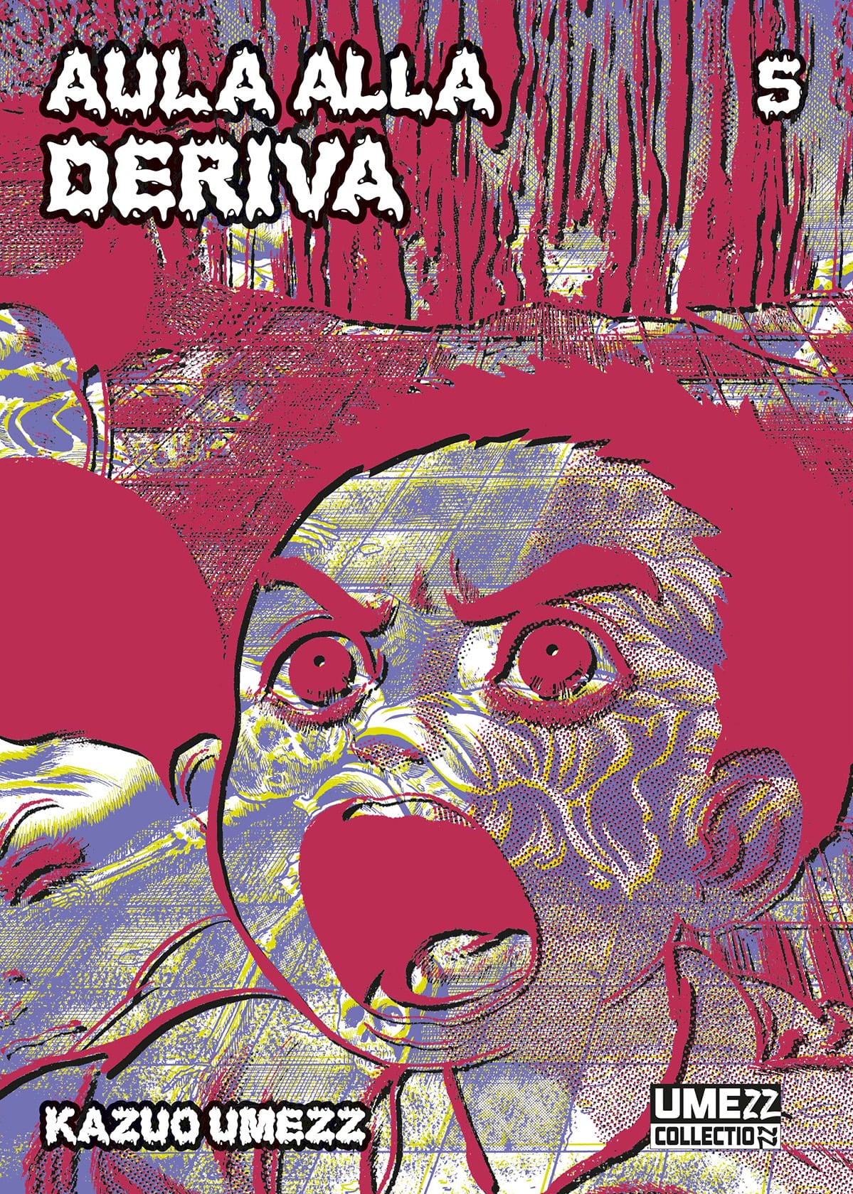 AULA ALLA DERIVA 5 (DI 6)