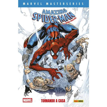 MARVEL MASTERSERIES SPIDERMAN 1