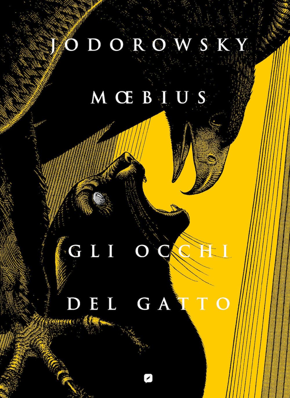 GLI OCCHI DEL GATTO