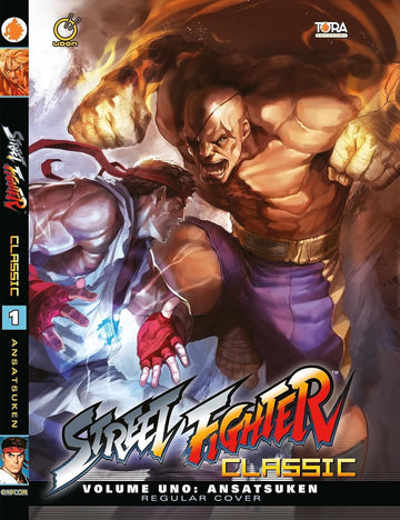 STREET FIGHTER CLASSICS 1